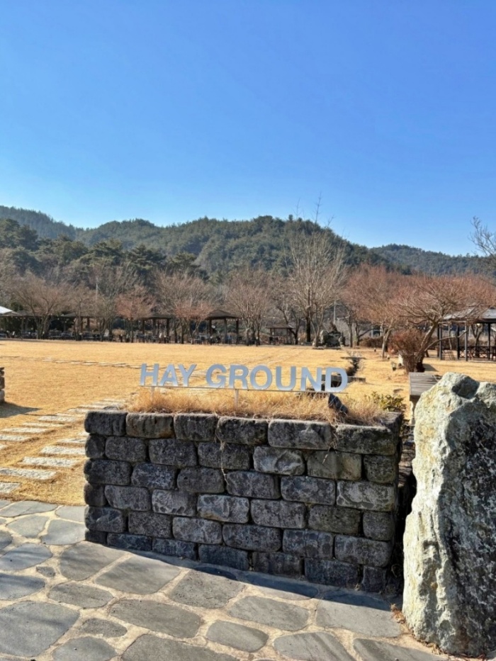 헤이그라운드