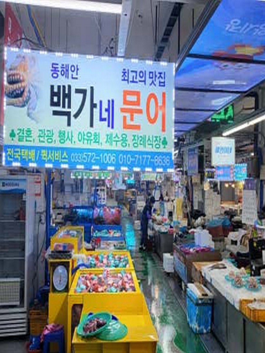 백가네문어
